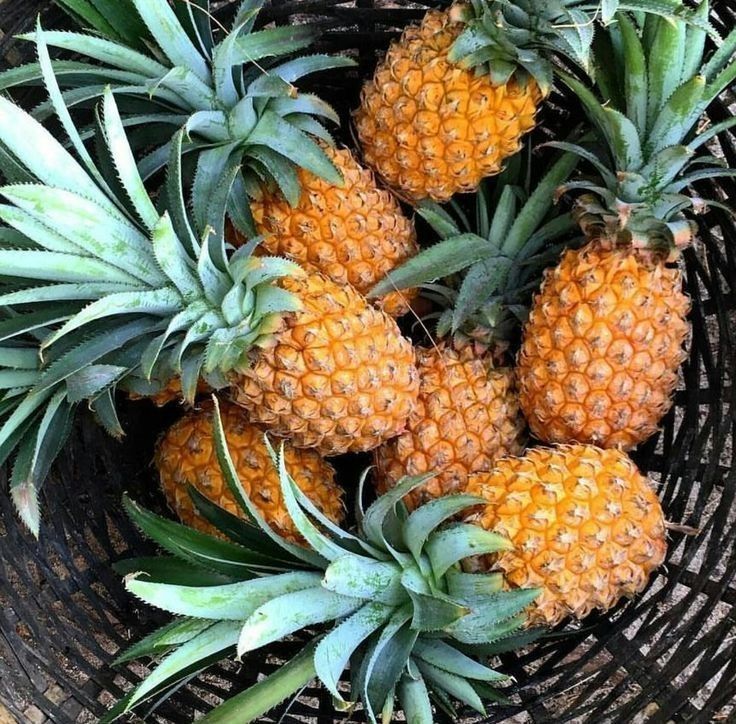 Manfaat Buah Nanas untuk Pemulihan Tubuh