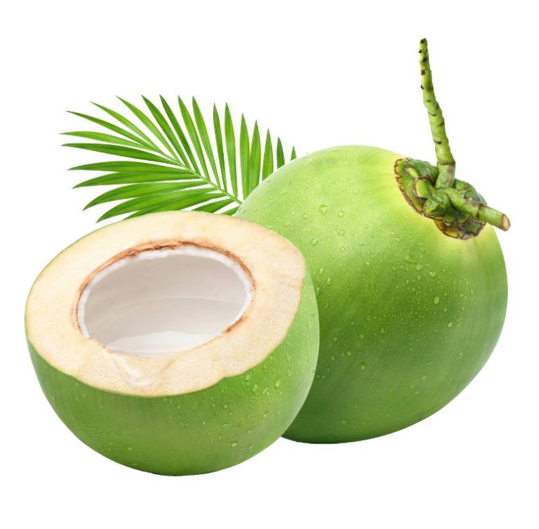 Manfaat Kelapa dalam Menjaga Kesehatan Ginjal